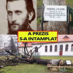 Stejarul lui Arsenie Boca: Simbolul Spiritualității Transformat prin Artă Sacră