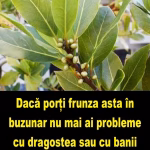 Simti ca esti blestemat? Ca cineva iti poarta sambetele? Simti ca nu ai niciodata noroc si oricat de mult bine ai face esti bantuit de cel necurat? Iata care sunt plantele care alunga duhurile rele!
