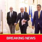 Coaliția prelungește plafonarea prețurilor la alimentele de bază