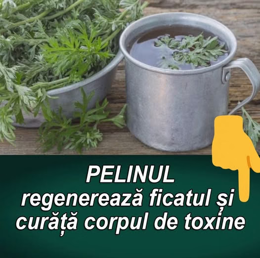 Pelinul curata ficatul si corpul de toxine. Cum se prepara corect
