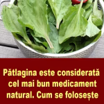 Patlagina – „Iarba Sfântului Anton”, cel mai bun medicament natural și beneficiile sale terapeutice