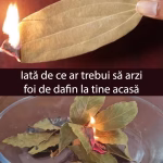 Iată 12 lucruri incredibile care se întâmplă atunci când arzi o frunză de dafin acasă