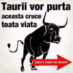 Cea mai mare durere a zodiei Taur