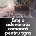 Comoara ascunsă de pe Valea Oltului a ieșit la lumină