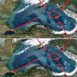 Imaginile care au încremenit Planeta! Uite ce se ascunde pe fundul Mării Negre: „De zeci de ani le căutăm, dar acum le-am găsit din greșeală”. Secretul vechi de milenii ieșit la iveală