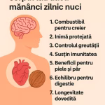 „Mănânci nuci în fiecare zi? Iată cum îți schimbă corpul și sănătatea