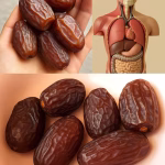 Curmalele – Fructul Miraculos Plin de Nutrienți: Beneficii Uimitoare Pentru Sănătate