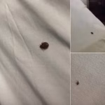 Ce am descoperit aseară în pat ne-a lăsat fără cuvinte. Eu și soția suntem șocați!