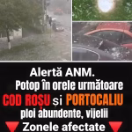 Alertă ANM. Cod roșu de ploi abundente în trei județe din țară. Alte zone sunt sub avertizare de Cod portocaliu și galben. Harta zonelor afectate