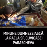 Minune dumnezeiască la racla Sfintei Cuvioase Parascheva