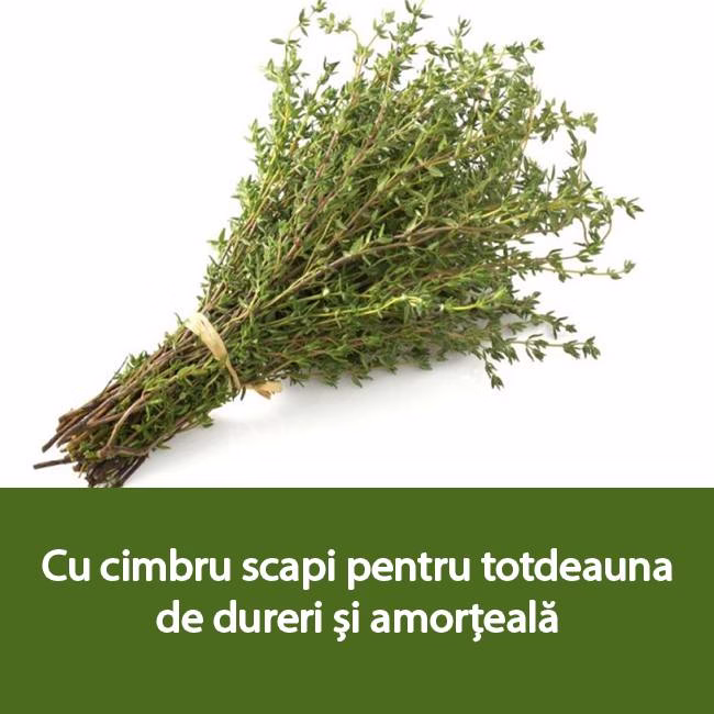 Cimbru vindecă complet reumatismul! Scapi pentru totdeauna de dureri și amorțeală