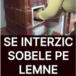 Românii Nu Vor Mai Avea Voie Să Folosească Sobele Cu Lemne.