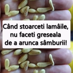 10 Beneficii Uimitoare Ale Semințelor De Lămâie