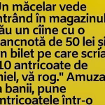 Un măcelar vede intrând în magazinul său un cîine