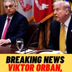 Viktor Orban susține planul de pace propus de Trump. Liderul maghiar vrea să blocheze ajutorul financiar pentru Ucraina