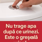 De ce este atât de important să nu tragi apa după fiecare mers la toaletă pentru a urina
