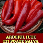 Ardeiul iute si beneficiile sale miraculoase pentru sanatate.
