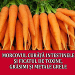 Morcovul: Un Aliment Minunat pentru Curatarea Intestinelor si a Ficatului
