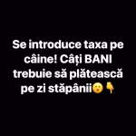 Șoc pentru stăpânii de animale! Se bagă taxă pe câine. Cât vei plăti pe zi
