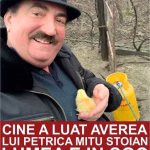 Pe mâinile cui a ajuns averea lui Petrică Mîțu Stoian? Nimeni nu s-ar fi așteptat la asta: “Am luat ceea ce ni se cuvenea!”