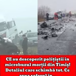 CE au descoperit polițiștii în microbuzul morții din Timiș! Detaliul care schimbă tot. Ce avea șoferul în sânge