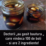 Elixirul stravechi cu USTUROI macerat in VIN ROSU care trateaza peste 100 de afectiuni