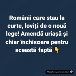 Măsură drastică pentru românii cu curte Amendă și închisoare pentru o faptă interzisă