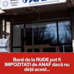 Articol