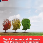 Top 6 Vitamins and Minerals That Protect the Brain from Aging and Cognitive Decline