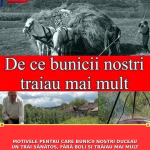 MOTIVELE PENTRU CARE BUNICII NOȘTRI DUCEAU UN TRAI SĂNĂTOS, FĂRĂ BOLI ȘI TRĂIAU MAI MULT DECÂT OAMENII MODERNI DE ASTĂZI
