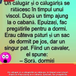 Un călugăr şi o călugăriţă se rătăcesc în timpul unui viscol. După un timp ajung la o cabană. Epuizaţi, fac pregătirile pentru a dormi. Erau câteva pături şi un sac de dormit pe jos, dar un… Continuarea aici