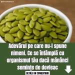 Semințele de dovleac  Comoara ascunsă pentru sănătate