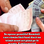 Se opresc pensiile! Românii care rămân fără bani dacă nu trimit acest act până pe 31 martie. E obligatoriu!