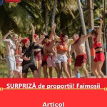 Articol