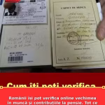 Românii își pot verifica online vechimea în muncă și contribuțiile la pensie. Tot ce trebuie să știi despre contul CNPP
