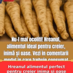Hreanul alimentul perfect pentru creier inima si oase Iata cum se consuma corect