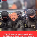 VIDEO Reacția halucinantă a lui Dani Mocanu după ce a fost adus în România: „Hai cu mine în celulă”
