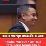 Relație mai puțin amicală între Sorin Grindeanu și Ilie Bolojan