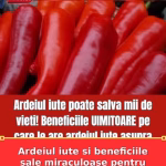 Ardeiul iute si beneficiile sale miraculoase pentru sanatate.