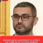 Ajutoare pentru pensionarii cu venituri sub 3.000 de lei. Ce sume propune PSD și cine ar putea beneficia