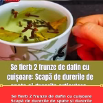 Se fierb 2 frunze de dafin cu cuișoare Scapă de durerile de spate și durerile articulare. Asigurați-vă că notați rețeta