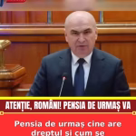 Pensia de urmaș cine are dreptul și cum se calculează suma primită