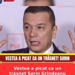 Vestea a picat ca un trăsnet Sorin Grindeanu anunță demisia.