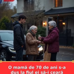 O mamă de 70 de ani s-a dus la fiul ei să-i ceară bani pentru tratament.