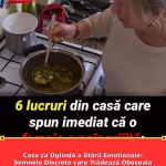 Casa ca Oglindă a Stării Emoționale: Semnele Discrete care Trădează Oboseala de Sine și Pași Simpli pentru un „Reset”