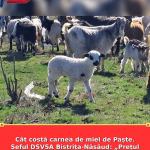 Cât costă carnea de miel de Paște. Șeful DSVSA Bistrița-Năsăud: „Prețul pentru cumpărător este mare”