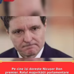 Pe cine își dorește Nicușor Dan premier. Rolul majorității parlamentare în stabilitatea guvernului