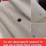 Ce am descoperit aseară în pat ne-a lăsat fără cuvinte. Eu și soția suntem șocați!