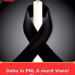 Doliu în PNL A murit Viorel Clapău