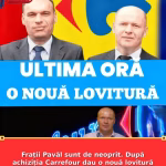 Frații Pavăl sunt de neoprit. După achiziția Carrefour dau o nouă lovitură în altă țară – Monden | DinPopor